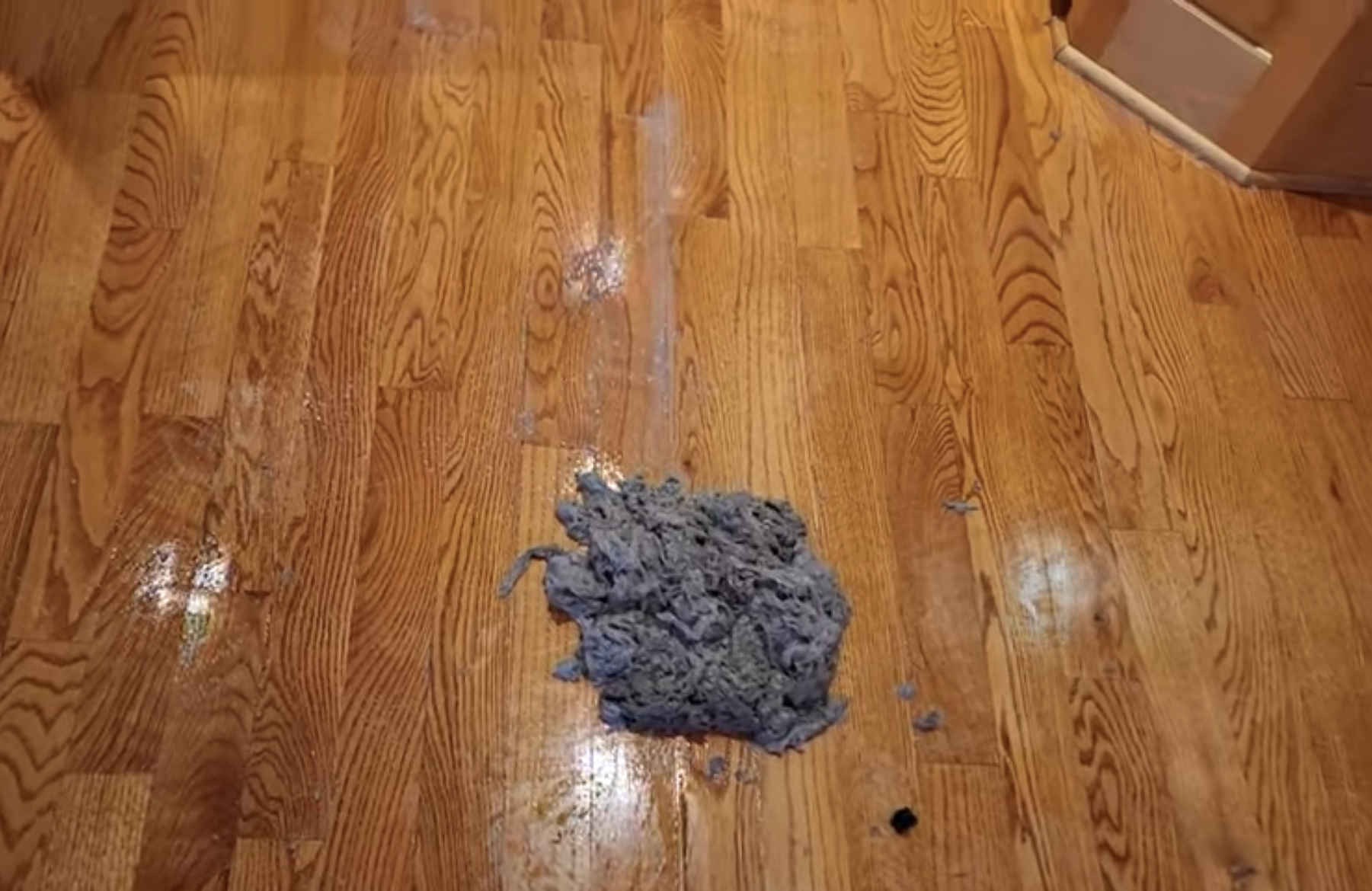 Warning: Your Favorite Floor Products May Be Destroying Your Wood Floors!